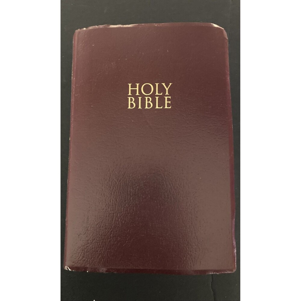 Zondervan NIV Holy Bible New International Version Imitation Leather Cover